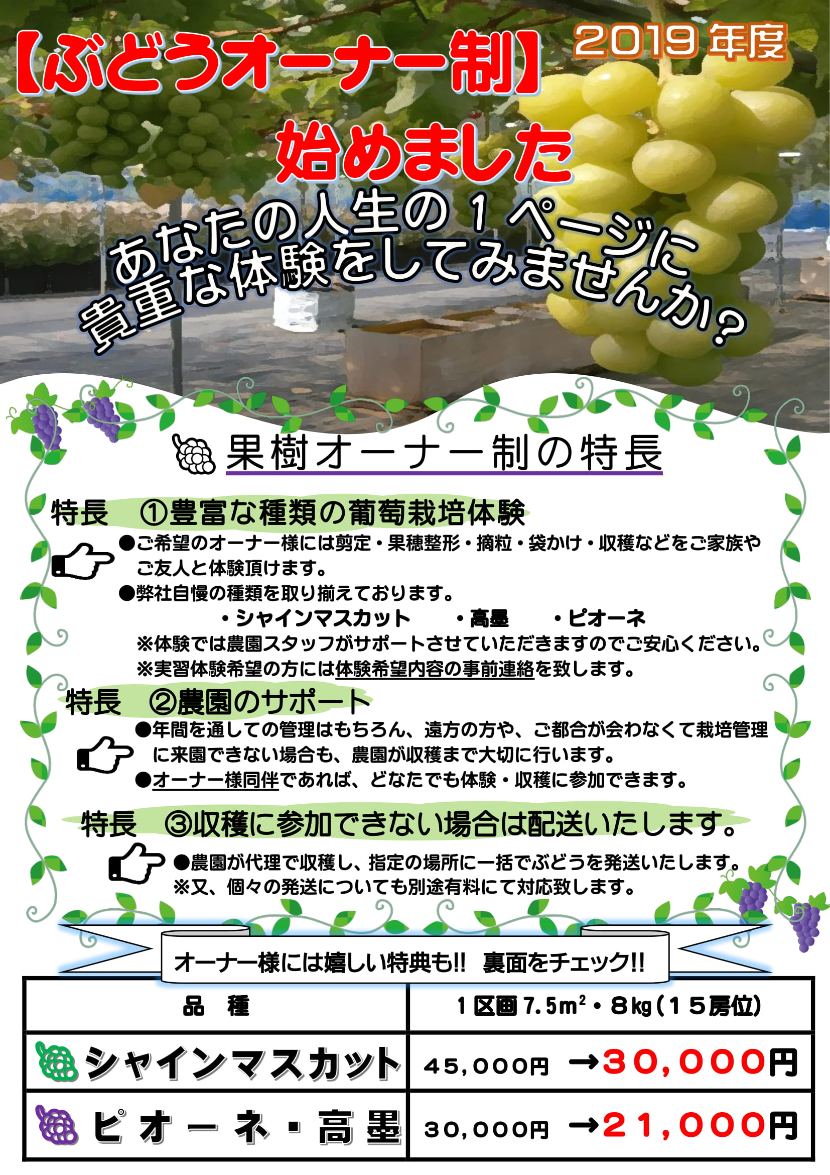 オーナー制チラシ9-22-2